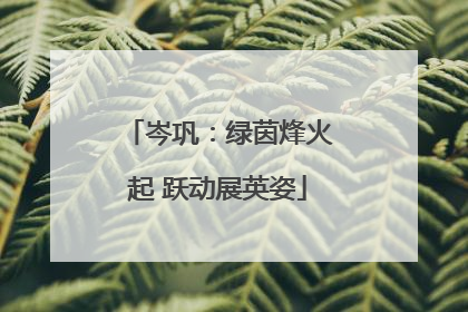 岑巩：绿茵烽火起 跃动展英姿